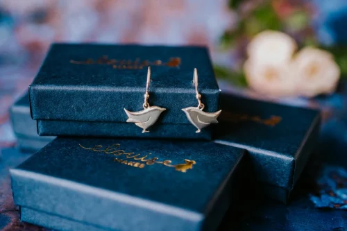Wren Earrings, handmade with Sustainable Silver, Box Shot