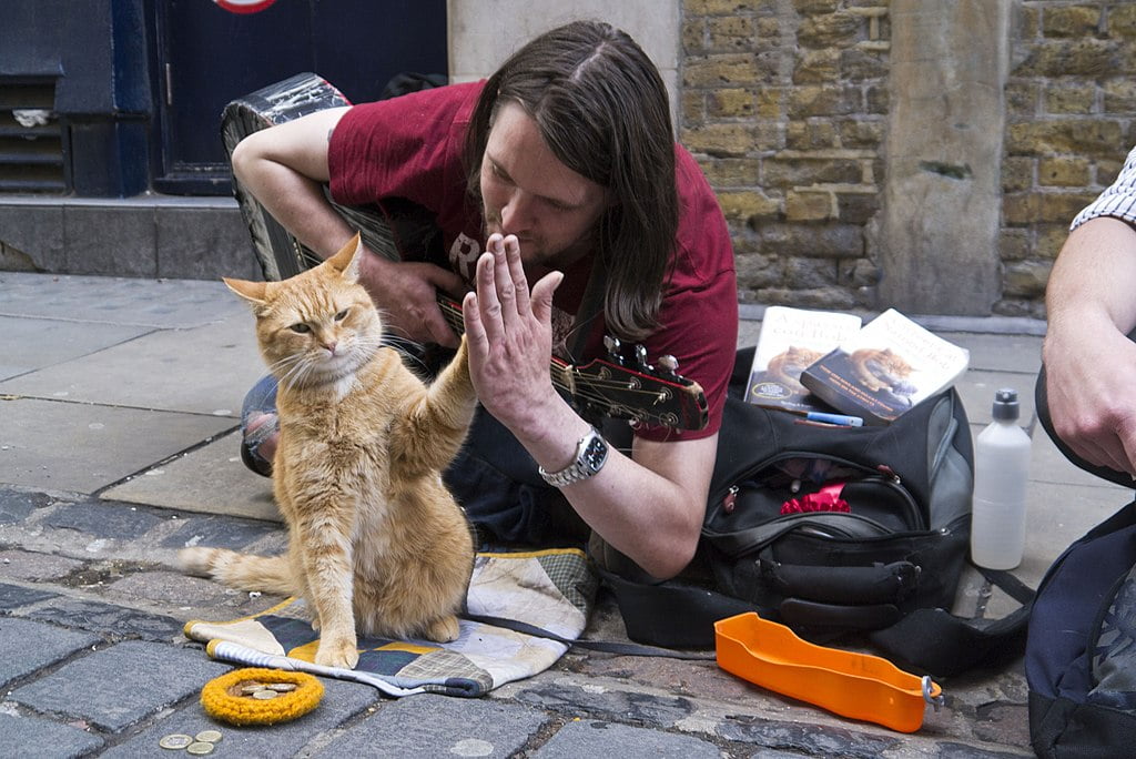 Bob the Street Cat high-fives his official biographer James Bowen