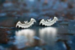Bat Cufflinks, Handmade from Sterling Silver