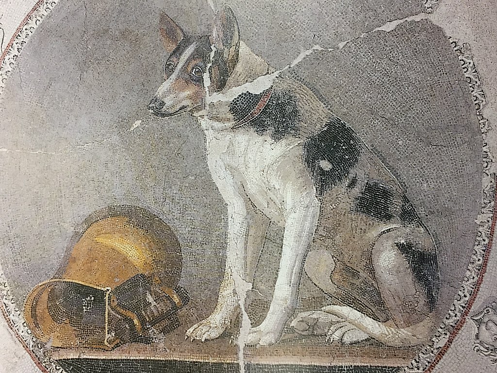 Ptolemaic roundel from a mosaic floor decorated with a dog and a gilded askos, from Alexandria, Egypt, c. 200-150 BC.