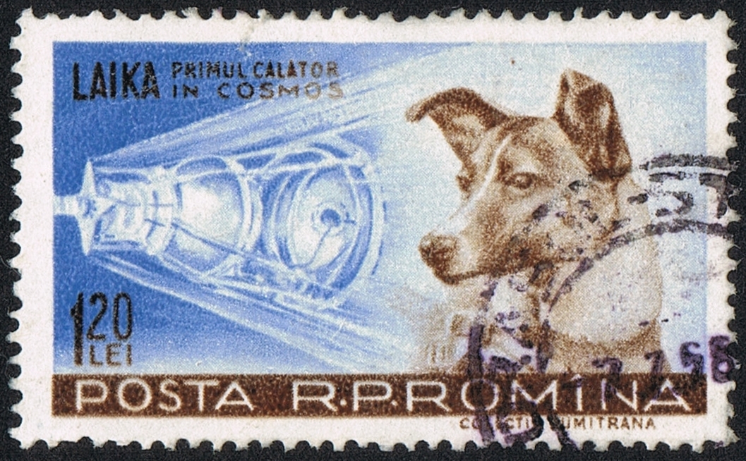 Laika on a Romanian Postage Stamp